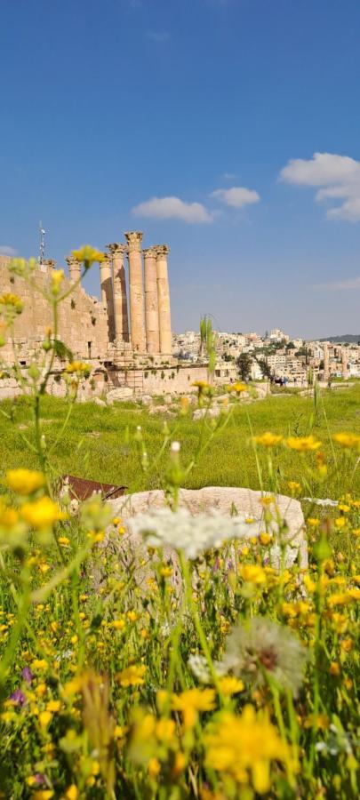 Cardostudio Hotel Jarash Exterior photo